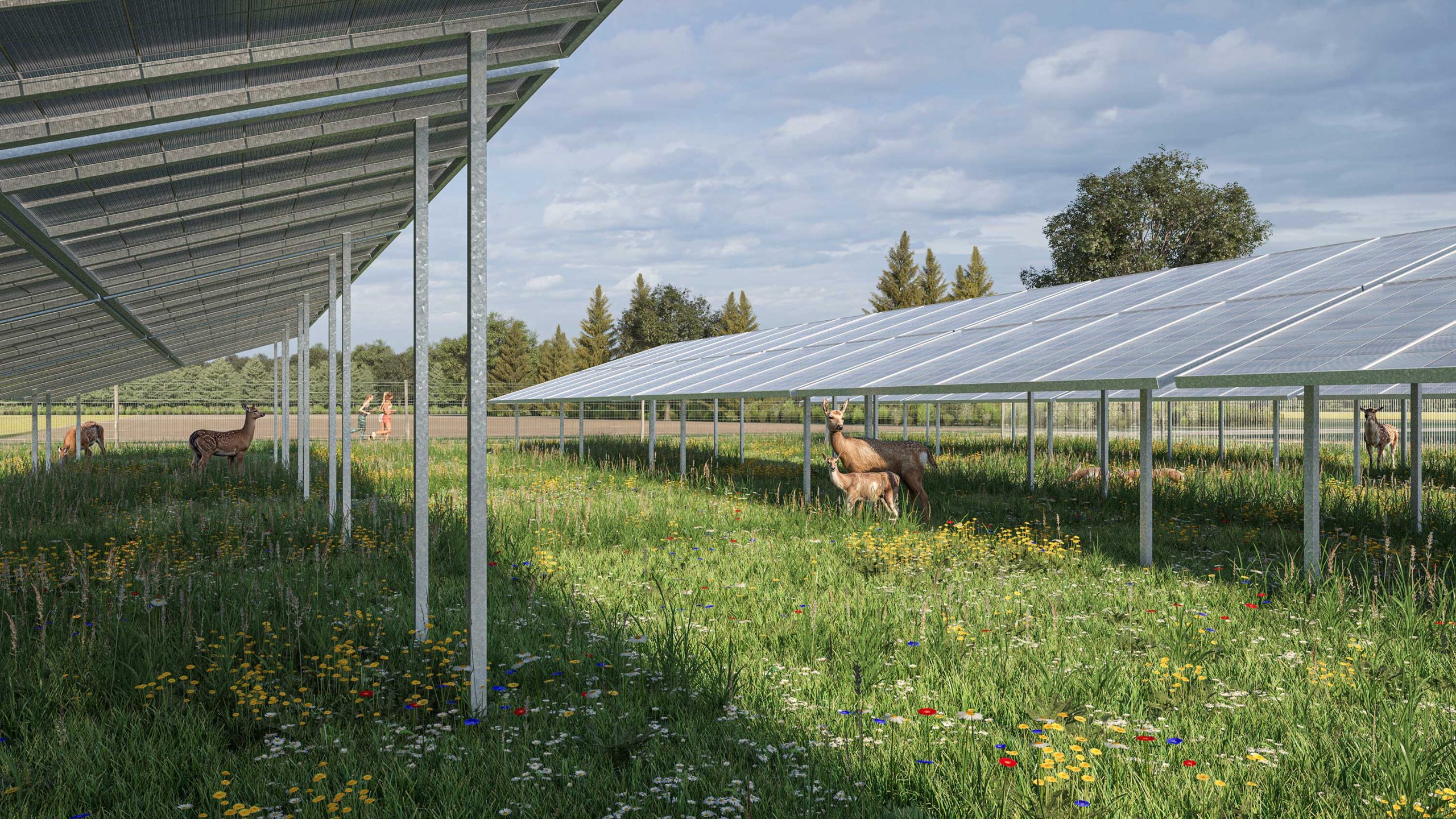 Visualisierung der WildparkPV-Anlage von Perigus Energy, einem Solarpark-Konzept, das in Damwild-Gehegen installiert wird