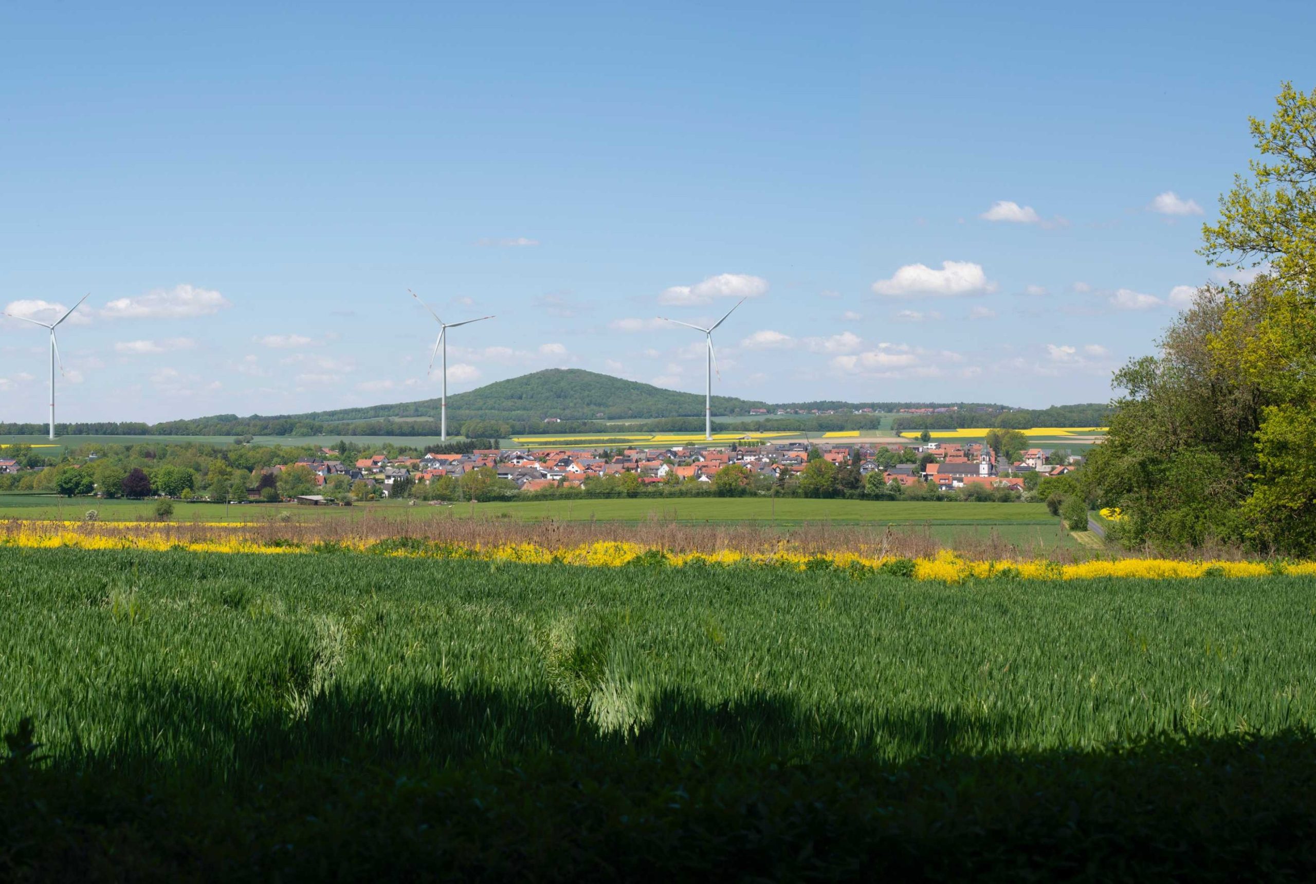 Visualisierung des geplanten Perigus-Windparks Burghaun I in Hessen