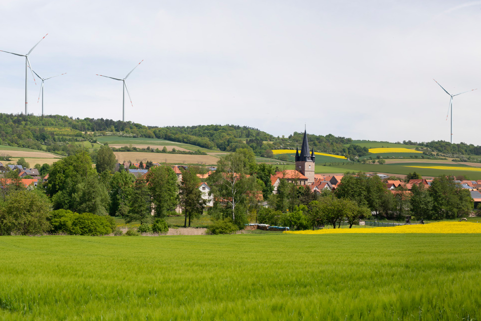 Visualisierung des geplanten Windparks Graburg von Perigus Energy