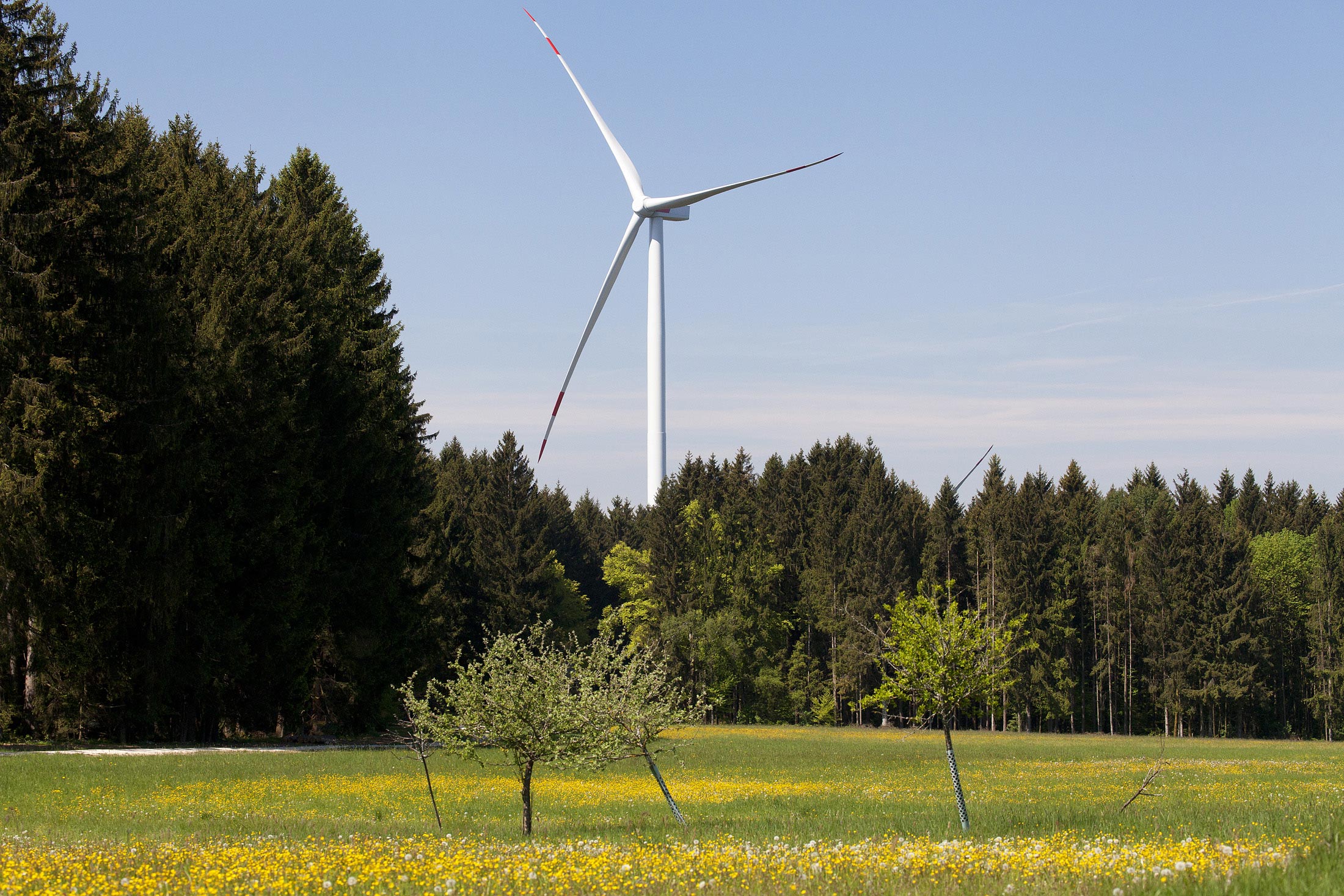 Symbolfoto für den geplanten Windpark Ostrach West von Perigus Energy.